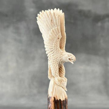 Snijwerk, NO RESERVE PRICE - Stunning Eagle Carving from a