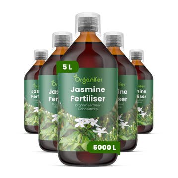 Jasmijn vloeibare meststof - Set 5x1 liter, Verzenden, Mest