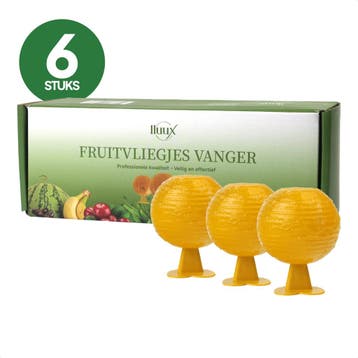 fruitvliegjes vanger 6 stuks - lluux, Verzenden, Nieuw