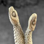 Snijwerk, NO RESERVE PRICE - Stunning Snake Heads carving