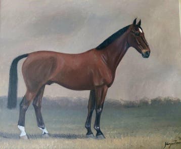 Harry van Zomeren (1945) - Bruin paard