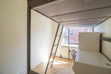 Kamer in Den Haag, Huizen en Kamers