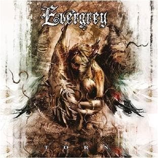 cd - Evergrey - Torn Ltd. Edition (SINGED BY ARTIST), Verzenden, Zo goed als nieuw