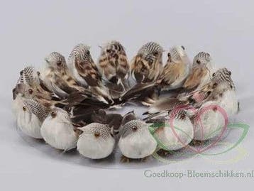 Vogeltjes Lichtbruin natuurlijk 9 cm 16 stuks, Ophalen of Verzenden, Nieuw