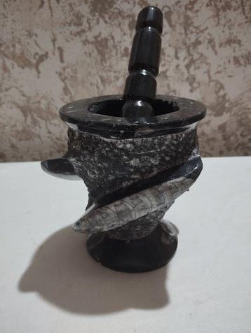 Gefossiliseerd dier - 12.5 cm - 10.5 cm