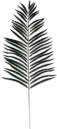 Giant Palmleaf Palmblad Groen 116 cm per stuk, Ophalen of Verzenden, Nieuw