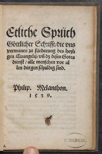 Philippi Melanchthon - Etliche Sprüch Göttlicher Schrifft