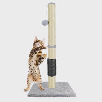 80cm Krabpaal voor Katten met Speelbal en Stabiele Basis, Verzenden, Nieuw