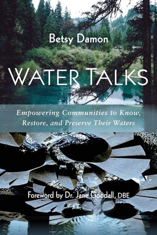 9781938685385 Water Talks Betsy Damon, Boeken, Studieboeken en Cursussen, Nieuw, Verzenden