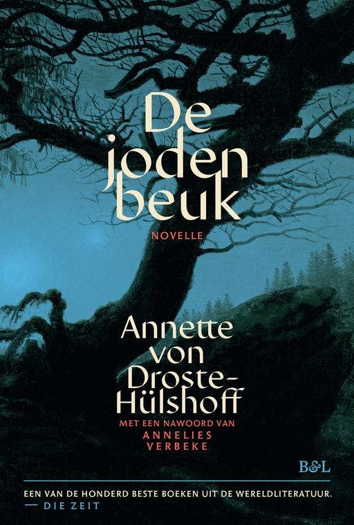 De Jodenbeuk 9789493387133 Annette Von Droste Hülshoff, Boeken, Overige Boeken, Nieuw, Ophalen of Verzenden