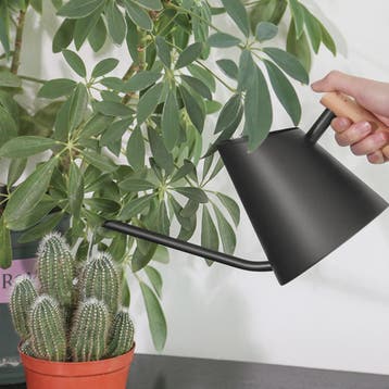 Roestvrijstalen Gieter 900ml Mat Zwart met Houten Handvat &, Verzenden, Nieuw