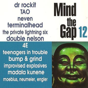 Various - Mind The Gap Volume 12, Ophalen of Verzenden, Gebruikt