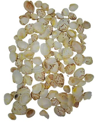 Tiger Chippy Schelpen Geel 500 gram, Ophalen of Verzenden, Nieuw