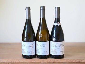 Ritter von Zahony; Edda Christina Bianco 2023, Ribolla 2023,, Nieuw