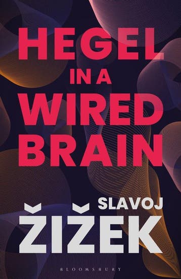 Boek Hegel in A Wired Brain 9781350124417, Verzenden, Zo goed als nieuw