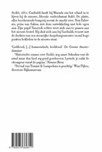 De tijgerkat / Salamander klassiek 9789025369811, Boeken, Verzenden, Zo goed als nieuw, G. Tomasi di Lampedusa
