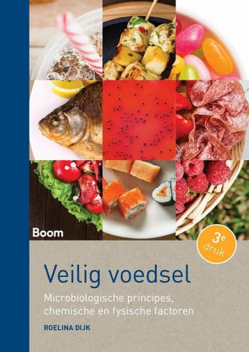 9789024418978 Veilig voedsel | Tweedehands, Boeken, Verzenden, Zo goed als nieuw, Roelina Dijk