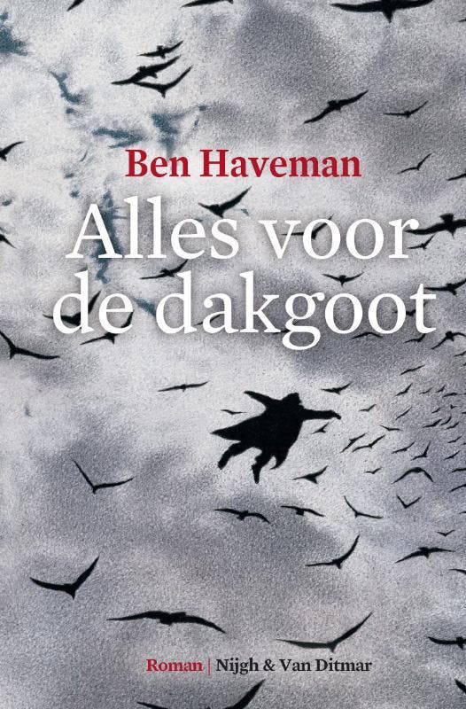 Alles voor de dakgoot 9789038894218 Ben Haveman, Boeken, Romans, Gelezen, Verzenden