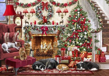 Bluebird Puzzle legpuzzel Cosy Fire van €23,99 voor €21,59, Ophalen of Verzenden, Nieuw