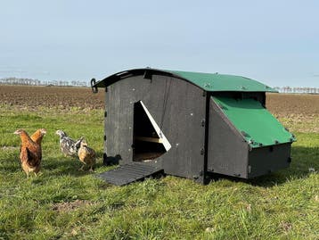 Kunststof Kippenhok - Nestera Large Grondmodel - Bezorgen, Ophalen of Verzenden, Nieuw