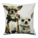 canvas kussen 2 chihuahuas 50x50cm*, Verzenden, Nieuw