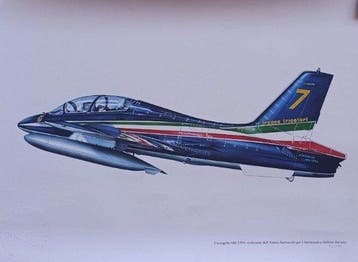Armando Curcio Editore Kleurrijke illustratie van de MB-339A