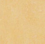 Forbo Marmoleum Fresco 3846 natural corn, Verzenden, Nieuw