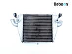 Radiateur MV Agusta F4 750 S 1999-2003 Lower, Motoren, Verzenden, Gebruikt