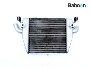 Radiateur MV Agusta F4 750 S 1999-2003 Lower, Motoren, Onderdelen | Overige, Verzenden, Gebruikt