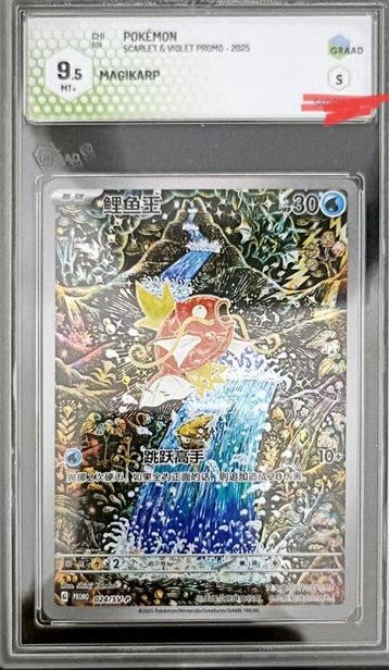 Pokémon - 1 Graded card - Pokémon - Magikarp 024/SV-P Promo, Nieuw
