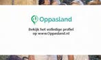 Tom zoekt een oppas in Haarlem voor 2 kinderen op dinsdag...