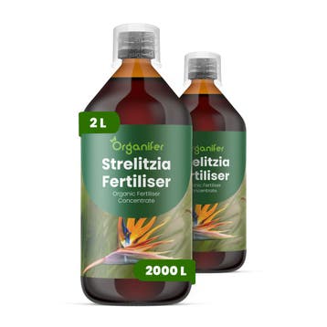 Strelitzia Vloeibare meststof - Set 2x1 liter, Verzenden, Mest