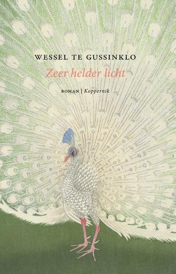 Zeer helder licht - Wessel te Gussinklo 9789083347165, Boeken, Verzenden, Zo goed als nieuw, Wessel te Gussinklo