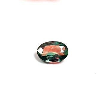 Zonder minimumprijs - 1 pcs Groen, Rood, Bruin Alexandriet -, Nieuw