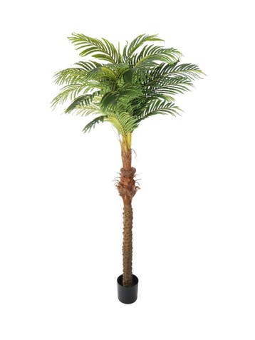 Huur: Kunstpalm Hawaii 220cm, Ophalen of Verzenden