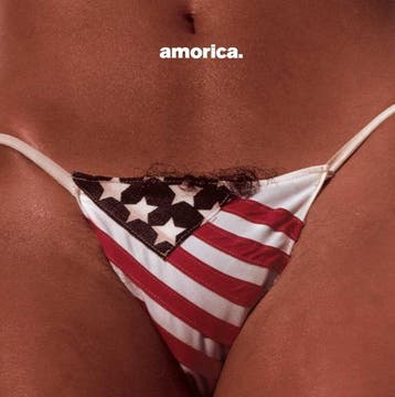 cd - the black crowes - amorica. (nieuw), Verzenden, Zo goed als nieuw