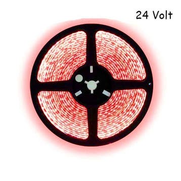 5 meter rood led strip - 60Leds/m - 24V, Ophalen of Verzenden, Nieuw