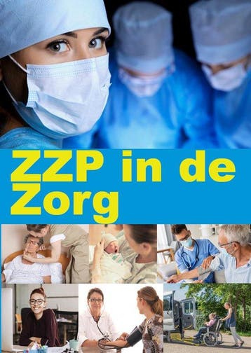 9789074312493 ZZP in de Zorg, Verzenden, Nieuw