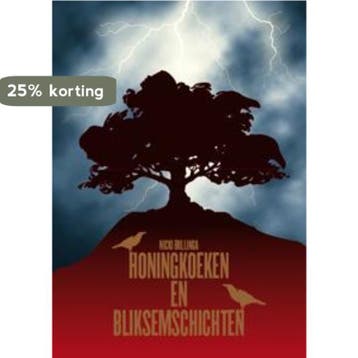 Honingkoeken en bliksemschichten - Nicki Bullinga, Verzenden, Zo goed als nieuw, Nicki Bullinga