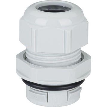 Eaton snelmontagewartel M32 V-M32-CLICK, Ophalen of Verzenden, Nieuw