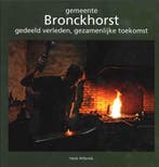 gemeente Bronckhorst 9789073667884 H. Hilferink, Verzenden, Gelezen, H. Hilferink