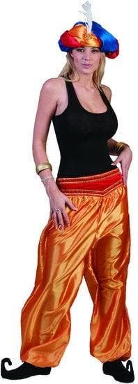 Broek Ali Baba Vrouw deluxe goud/oranje, Kleding | Dames, Carnavalskleding en Feestkleding, Nieuw, Ophalen of Verzenden