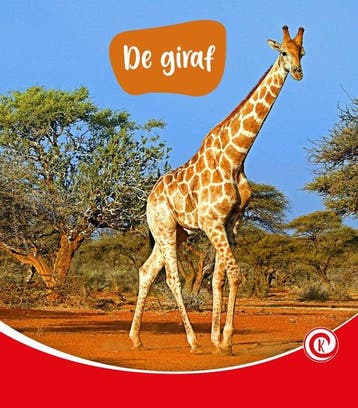 9789464397451 De Kijkdoos 249 - De giraf, Verzenden, Nieuw, Minke van Dam