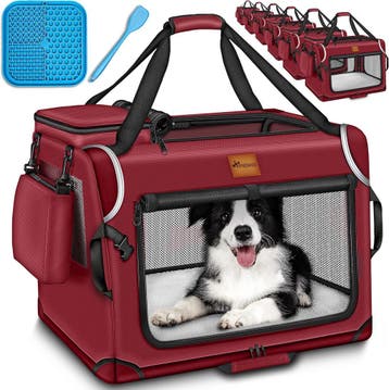 Reisbench hond - Draagtas hond - Transportbox - 50x34x34 cm, Dieren en Toebehoren, Verzenden, Zo goed als nieuw