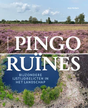 Pingoruïnes | Anja Verbers | Nieuw, Ophalen of Verzenden, Nieuw, Anja Verbers