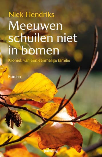Meeuwen schuilen niet in bomen - Niek Hendriks 9789493245709, Boeken, Verzenden, Zo goed als nieuw, Niek Hendriks