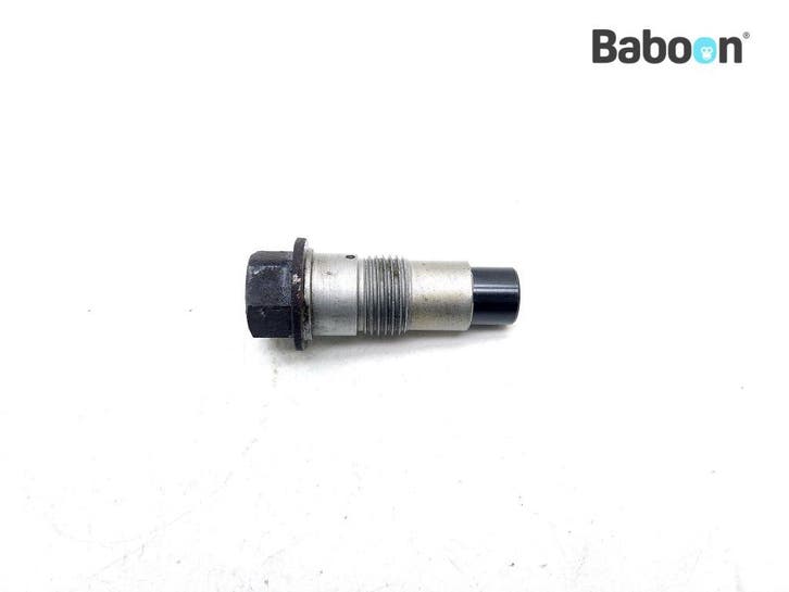 Nokkenas Kettingspanner BMW R 1200 ST (R1200ST), Motoren, Onderdelen | BMW, Gebruikt, Verzenden