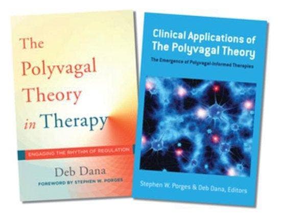 9780393713411 Polyvagal Theory in Therapy / Clinical Appl..., Boeken, Studieboeken en Cursussen, Nieuw, Verzenden