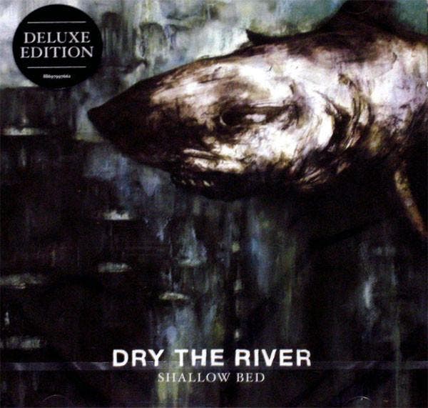cd - Dry The River - Shallow Bed, Cd's en Dvd's, Cd's | Overige Cd's, Zo goed als nieuw, Verzenden