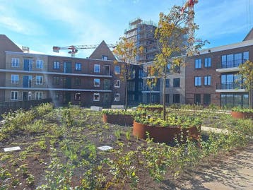 Te huur: Appartement Timmerrak in Zaandam, Noord-Holland, Zaandam, Appartement